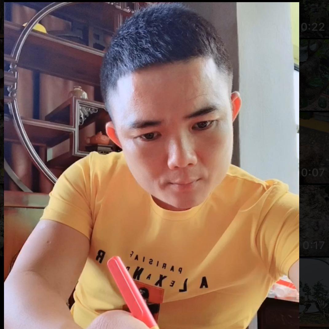 南辅盆景【博兰】