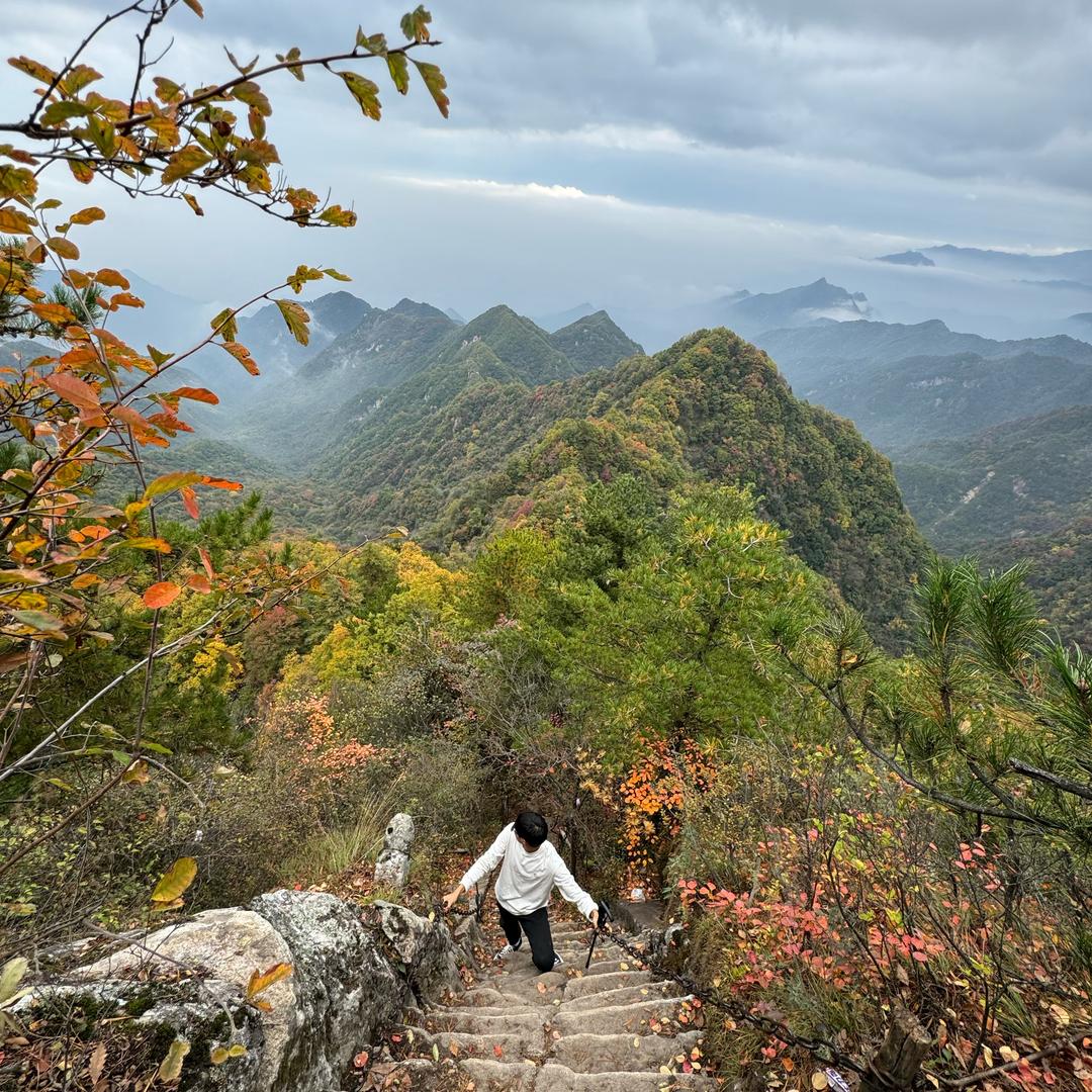 万晖樾山河-王恩男（铁一金湾🎒）