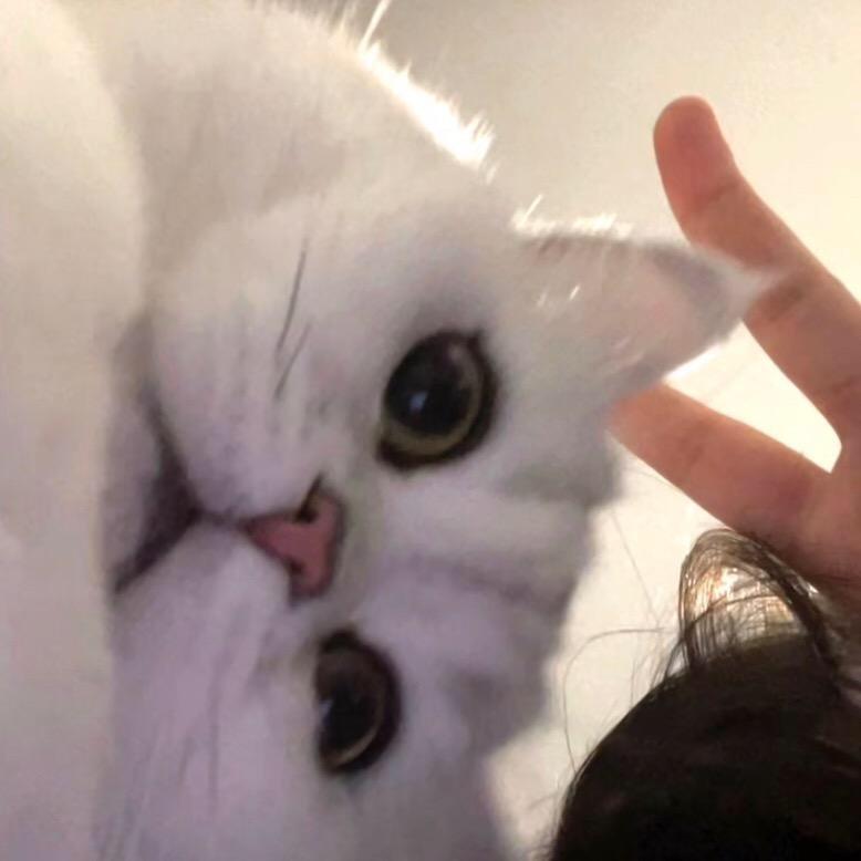 烨的烦心事