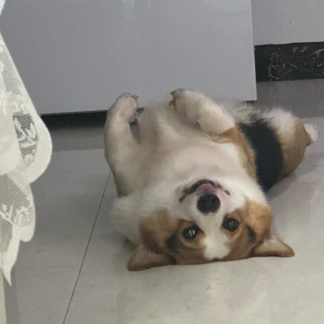 Aaaaaa