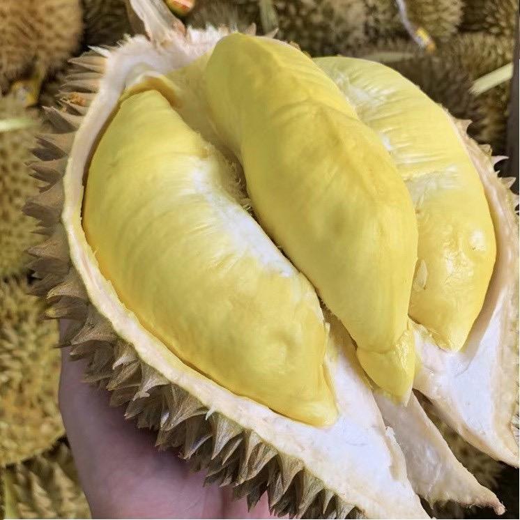鲜榴家水果铺