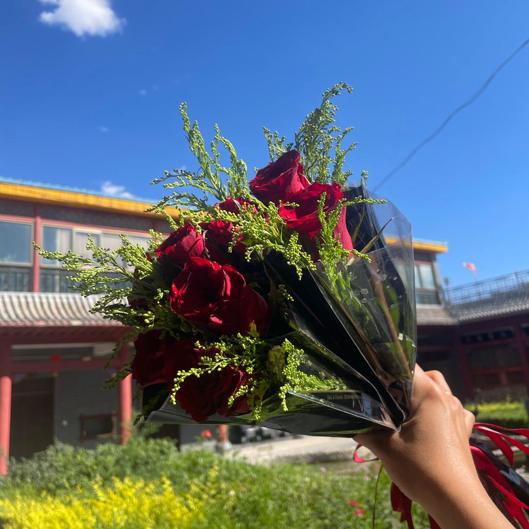 ☘︎ ݁˖꙳ 念安☘️