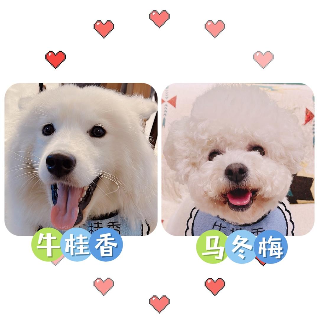 李初一