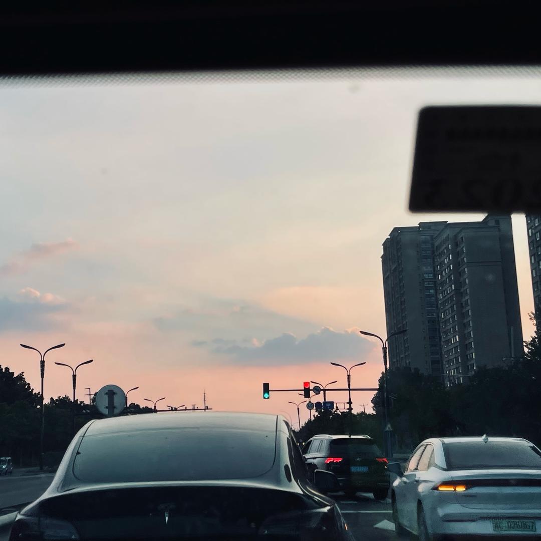 云岭茉莉白