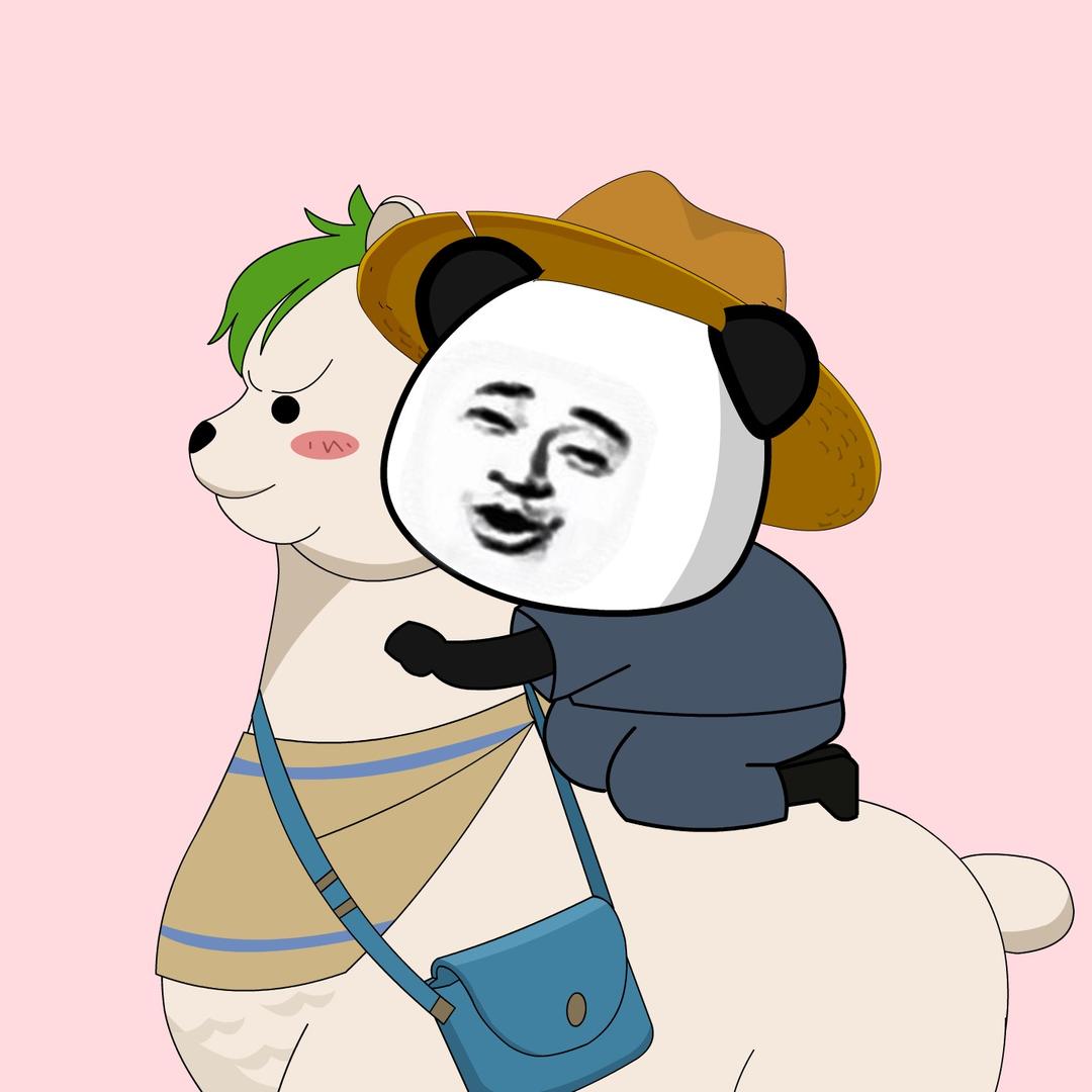 随心动画