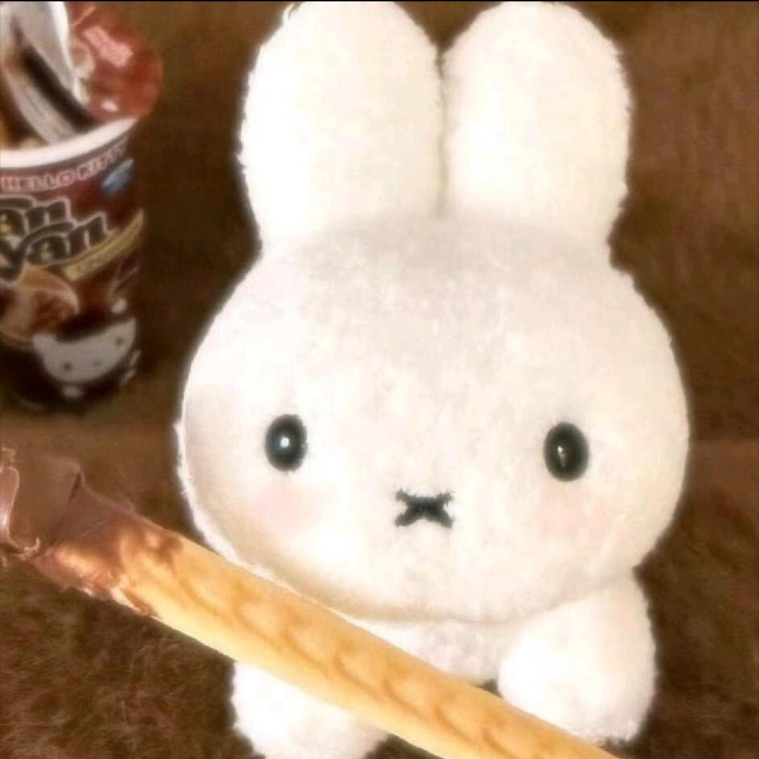 笨鸟睡午觉了