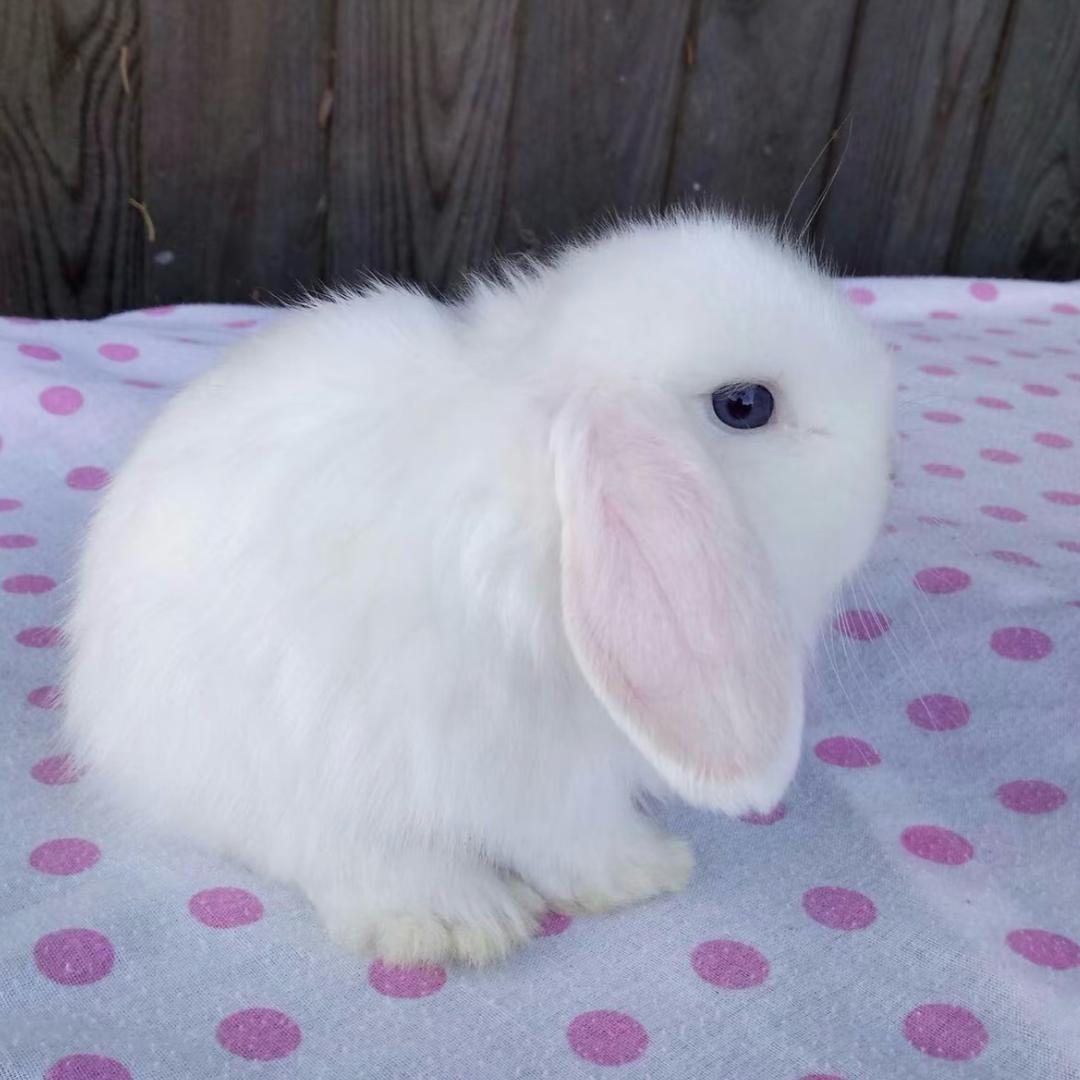 物理