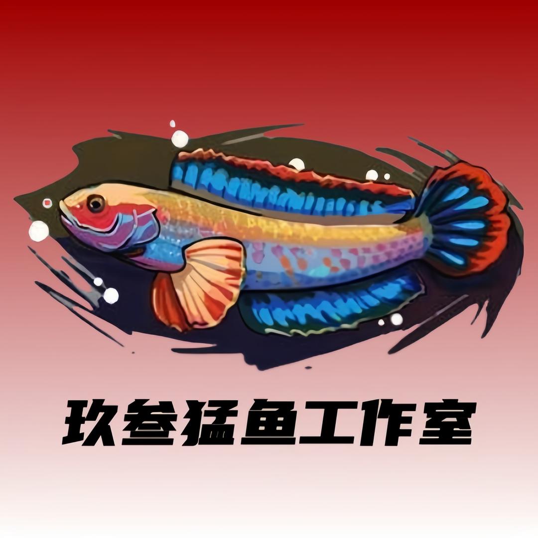 玖叁猛鱼工作室