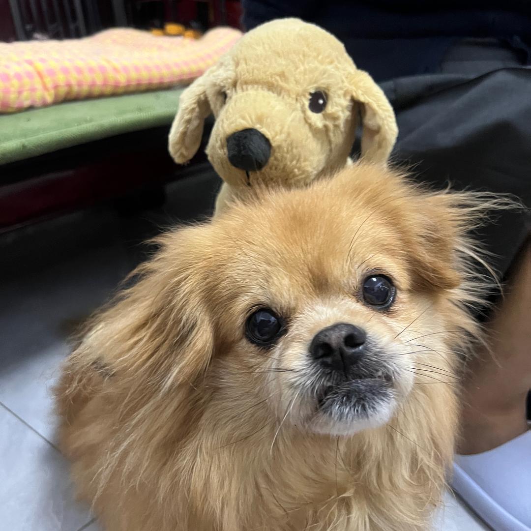 你管我！