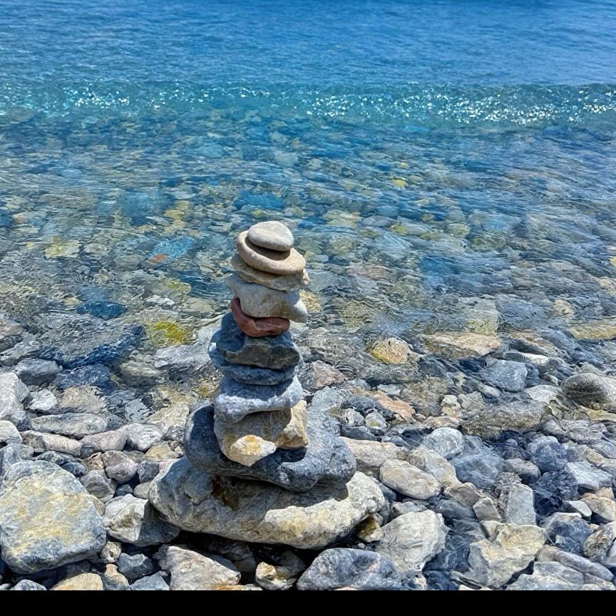 油猫饼