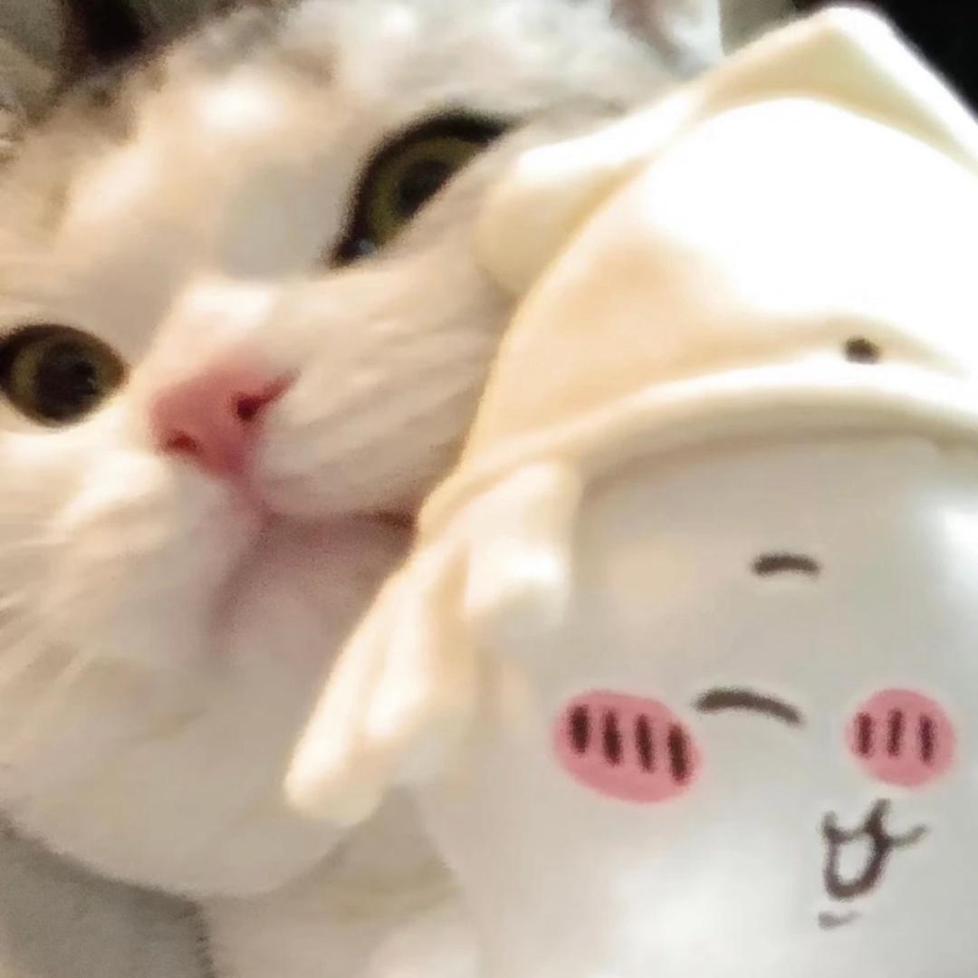 小福琦