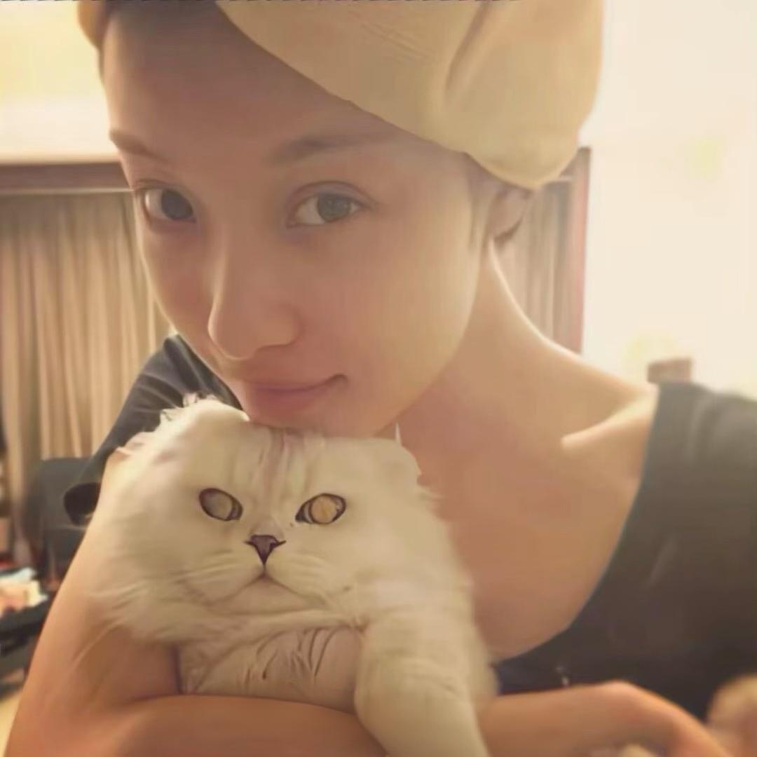 第一页🐾