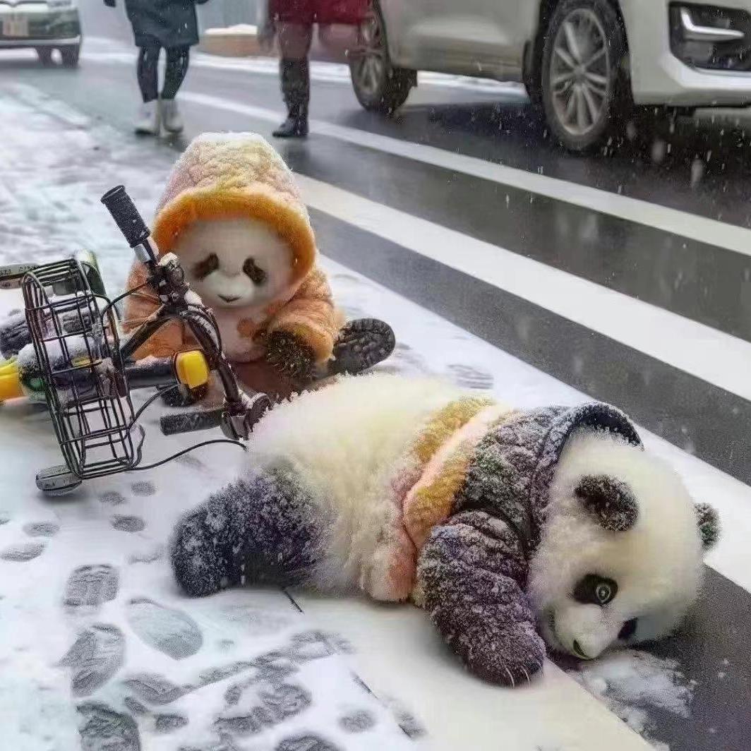 说谢谢！