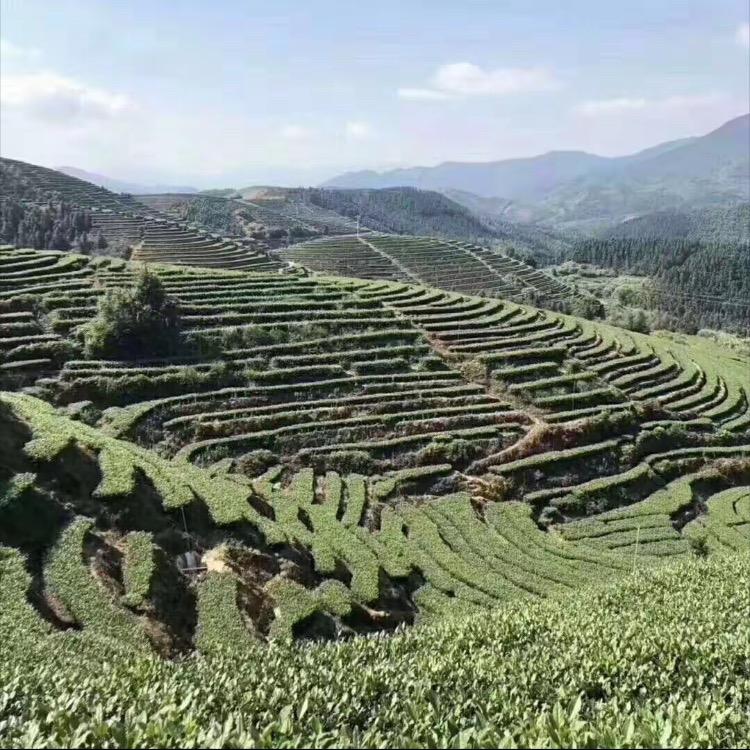 麦麦🈶🉐局