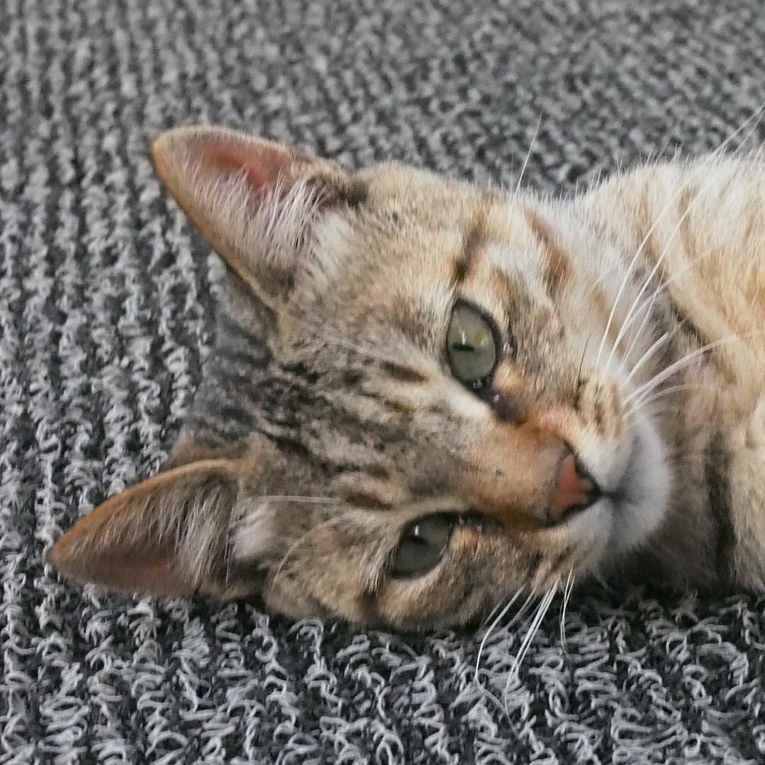 钓鱼摄影两不误