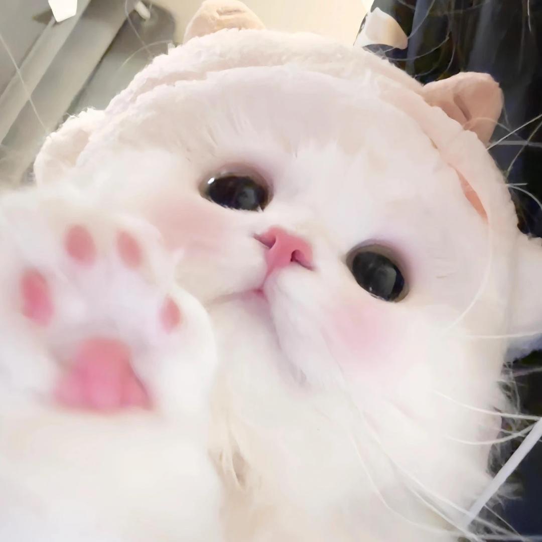 纯子