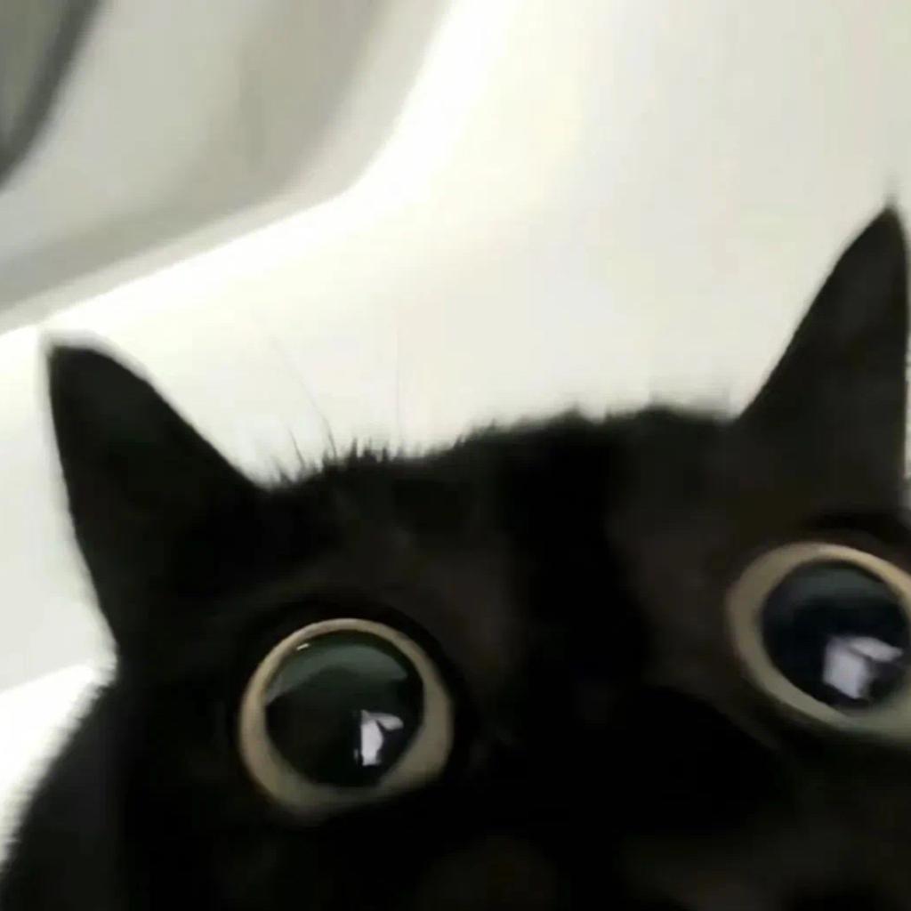 Miu