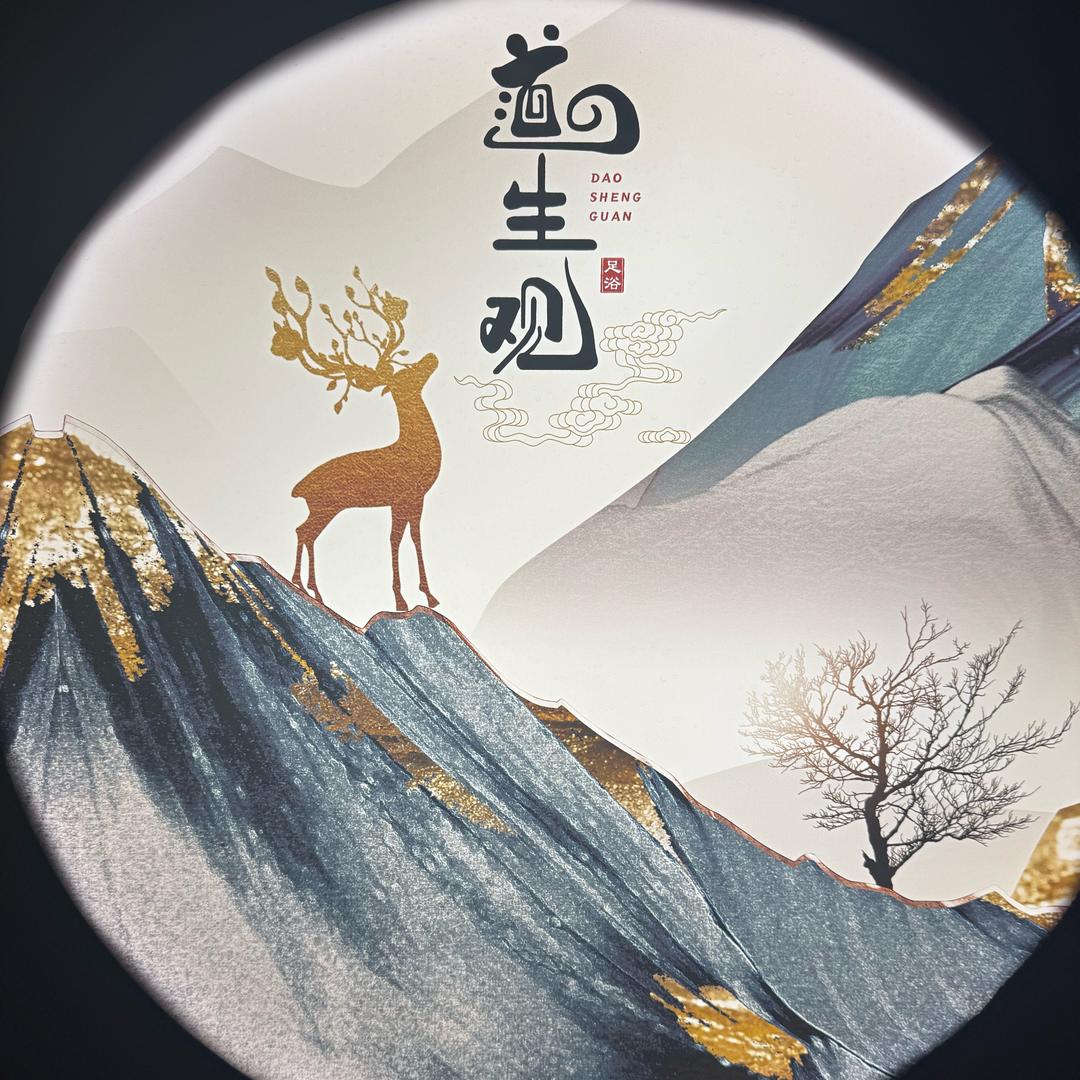 道生观·影院式足道