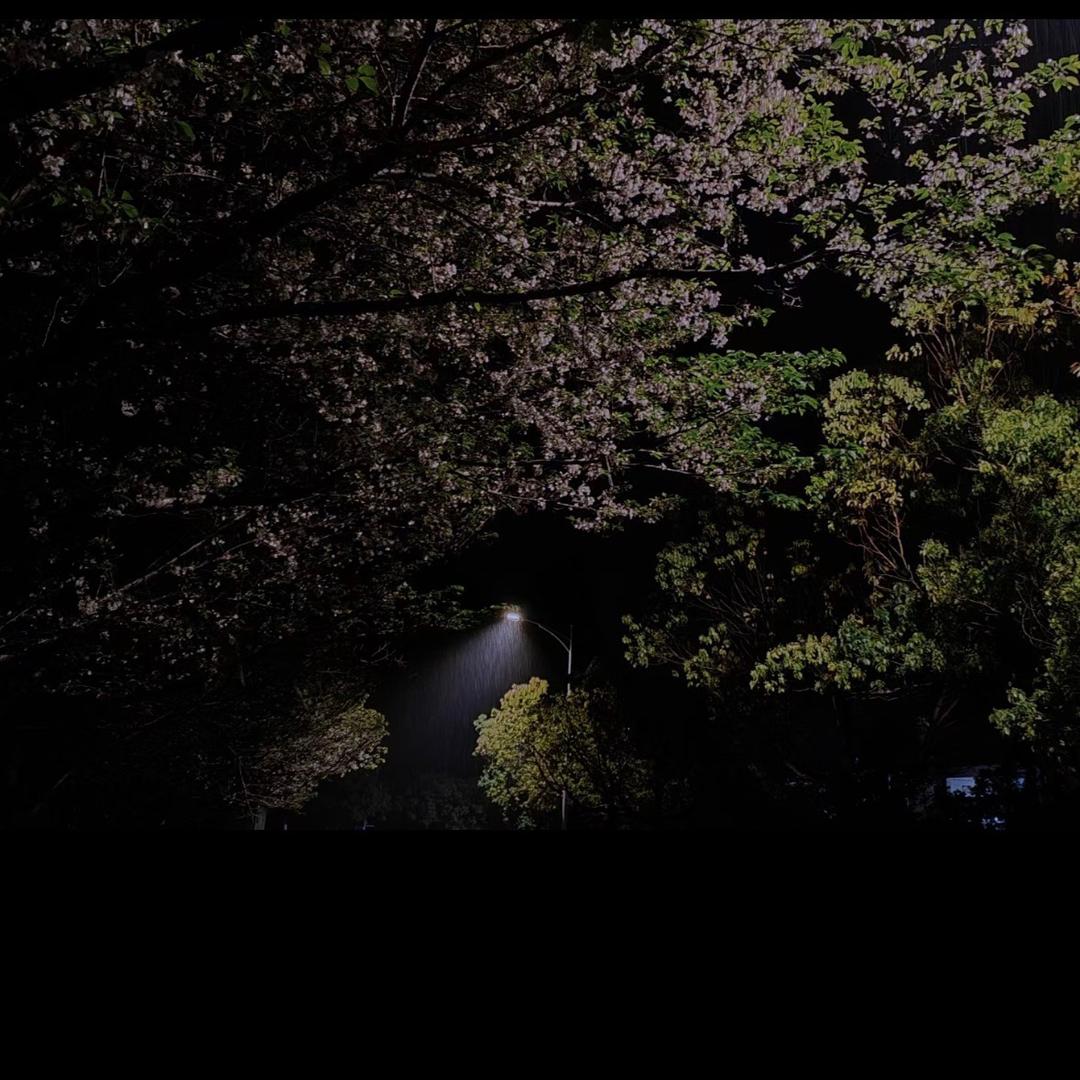 三七.