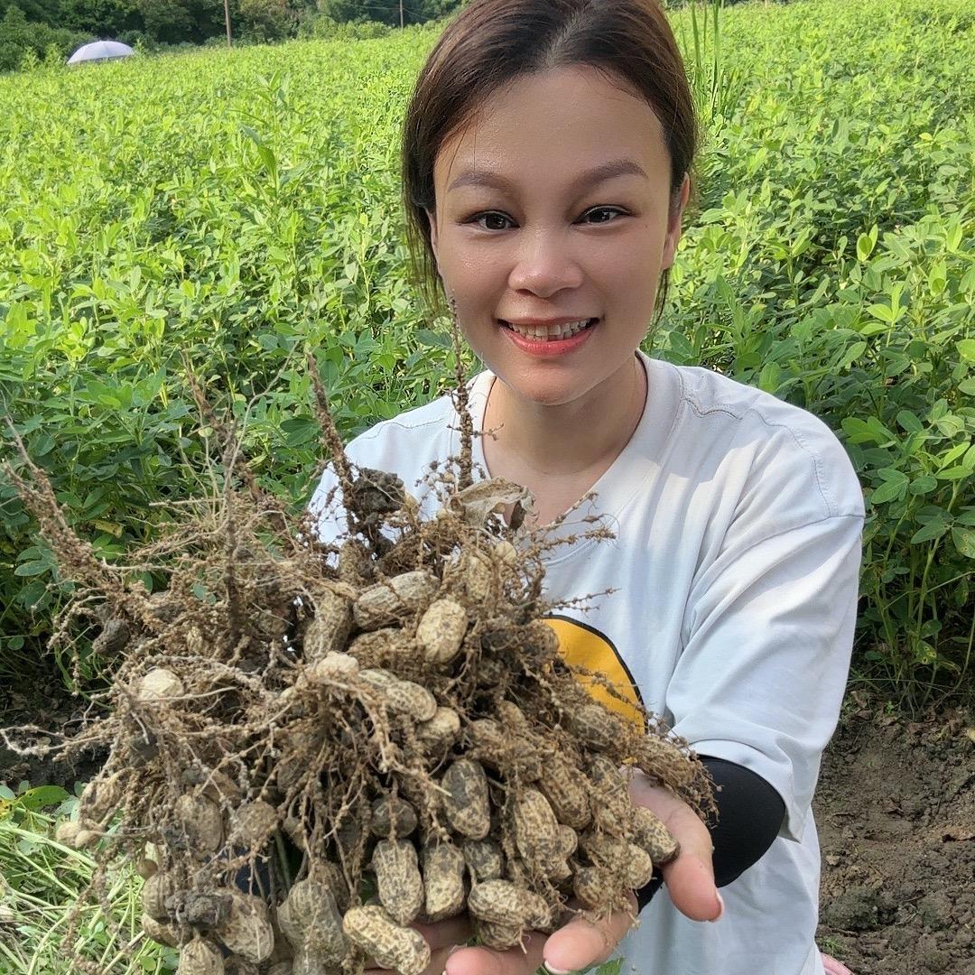 陈红