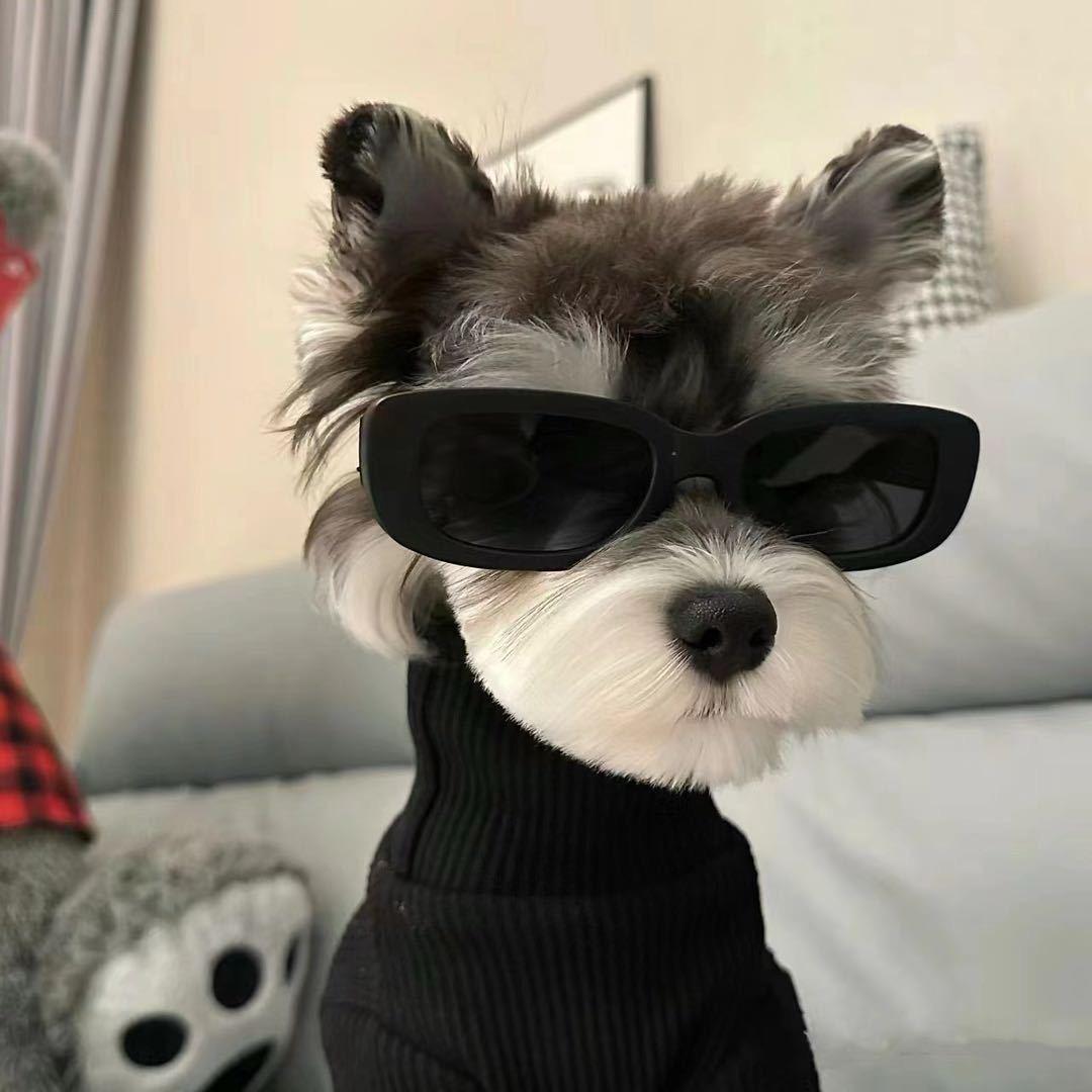 宿迁老街数码(二手机回收置换)