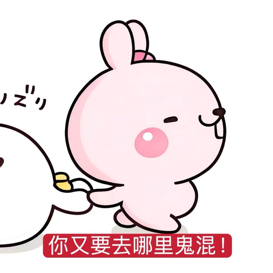 呆头鹅
