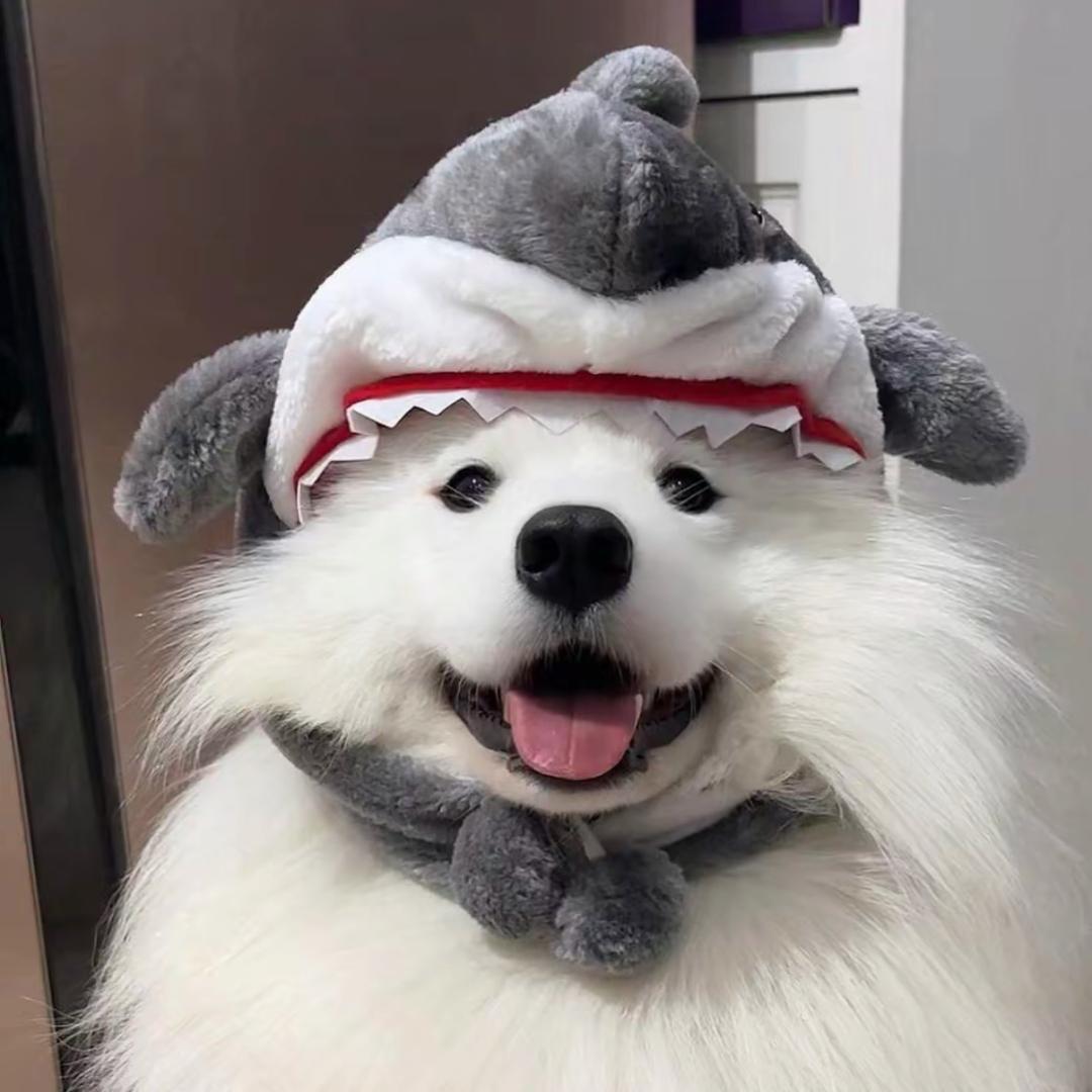 我有.