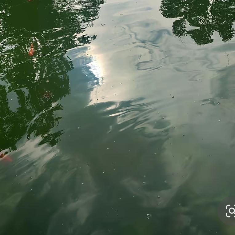 但愿，真心天定