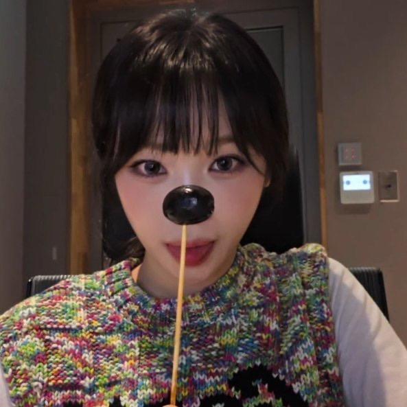 채채.