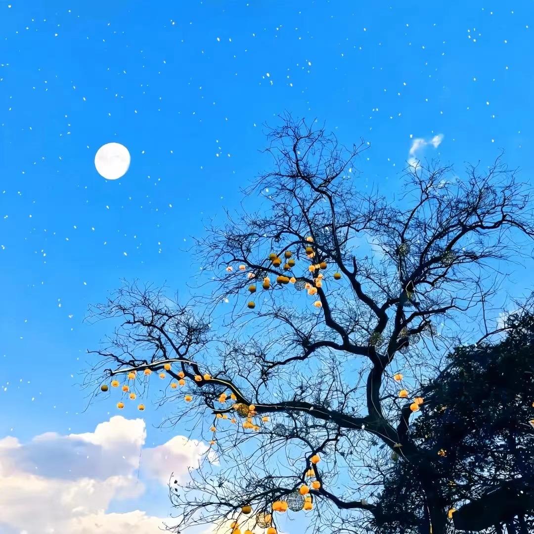 🔛请叫我护士姐姐😎