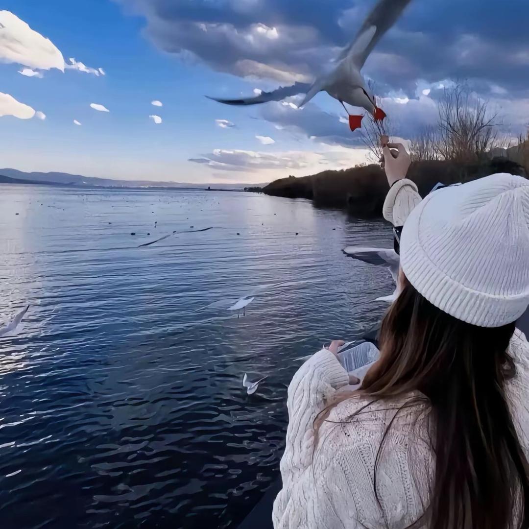 慧慧.