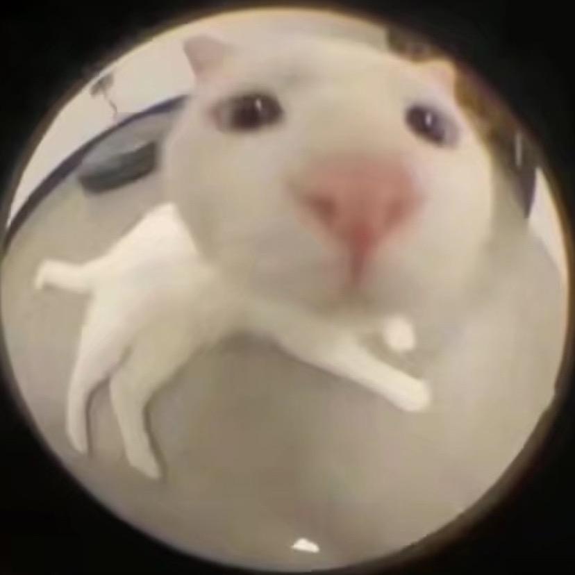 布响丸辣