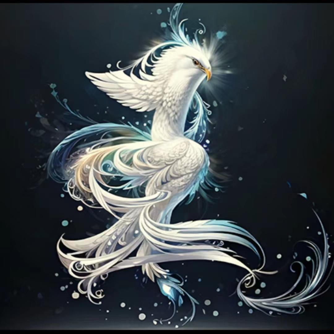 衎衎美食 （阿no）