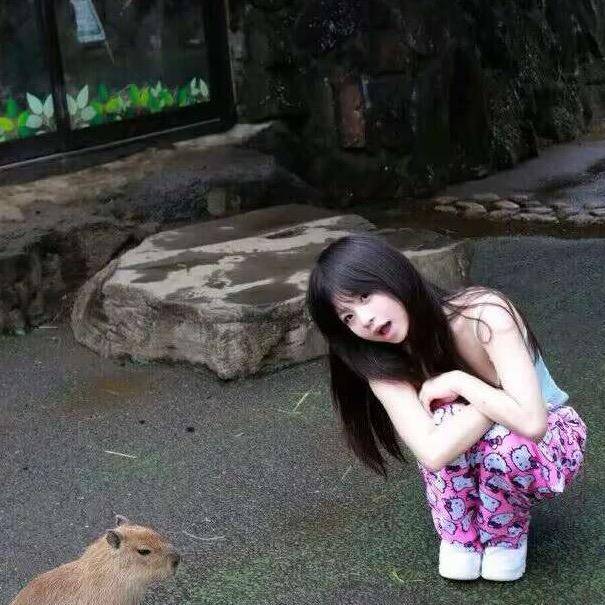 林以安