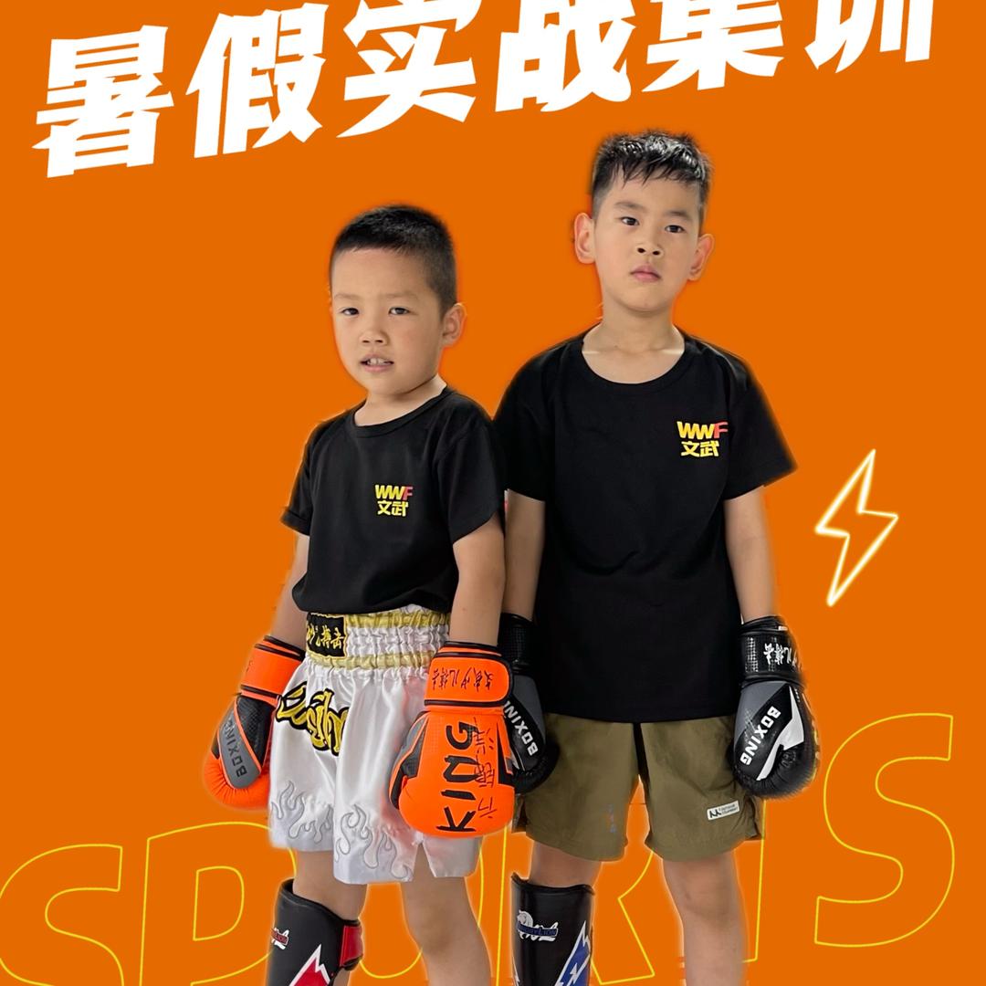 武汉文武搏击俱乐部发展有限公司