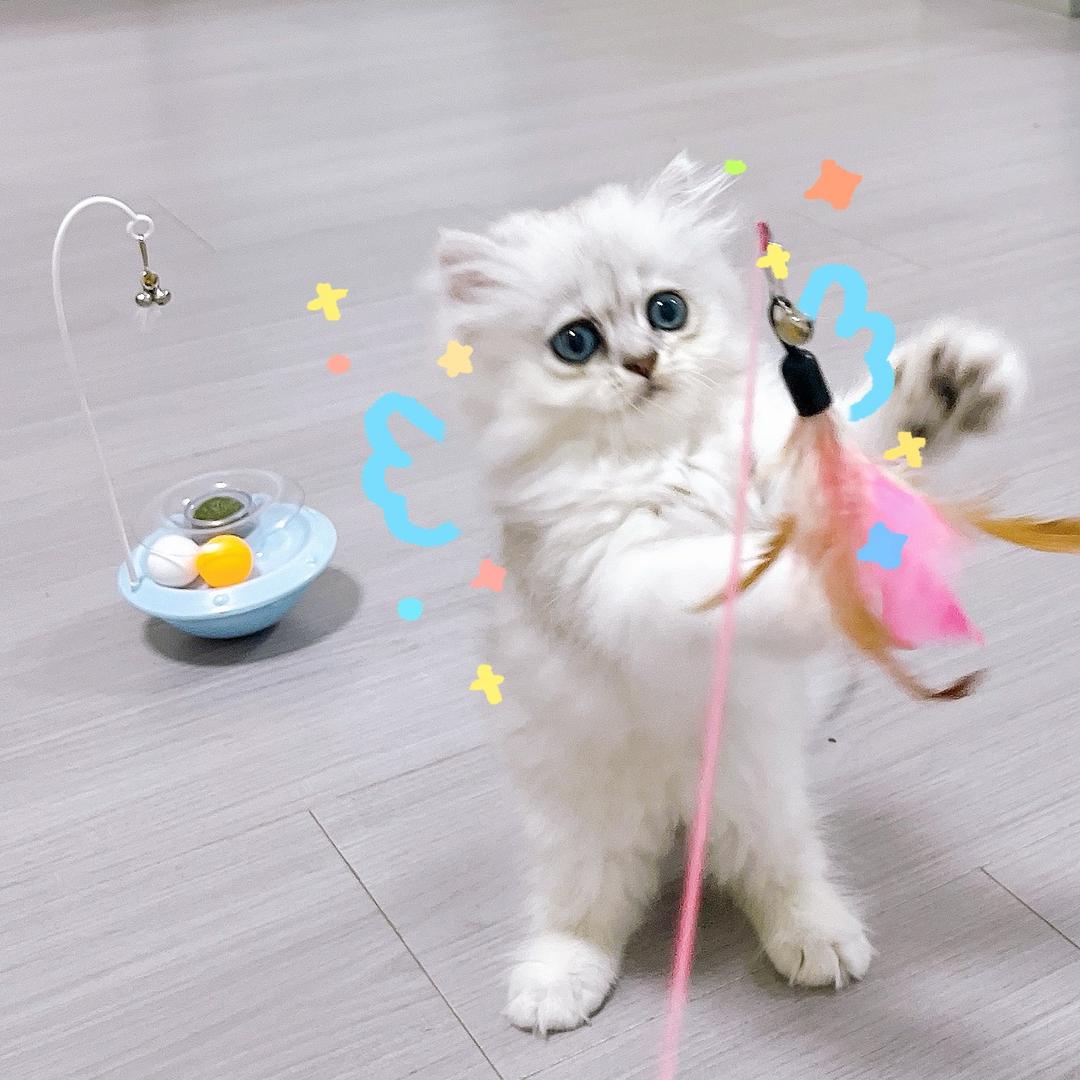 我的发财日记