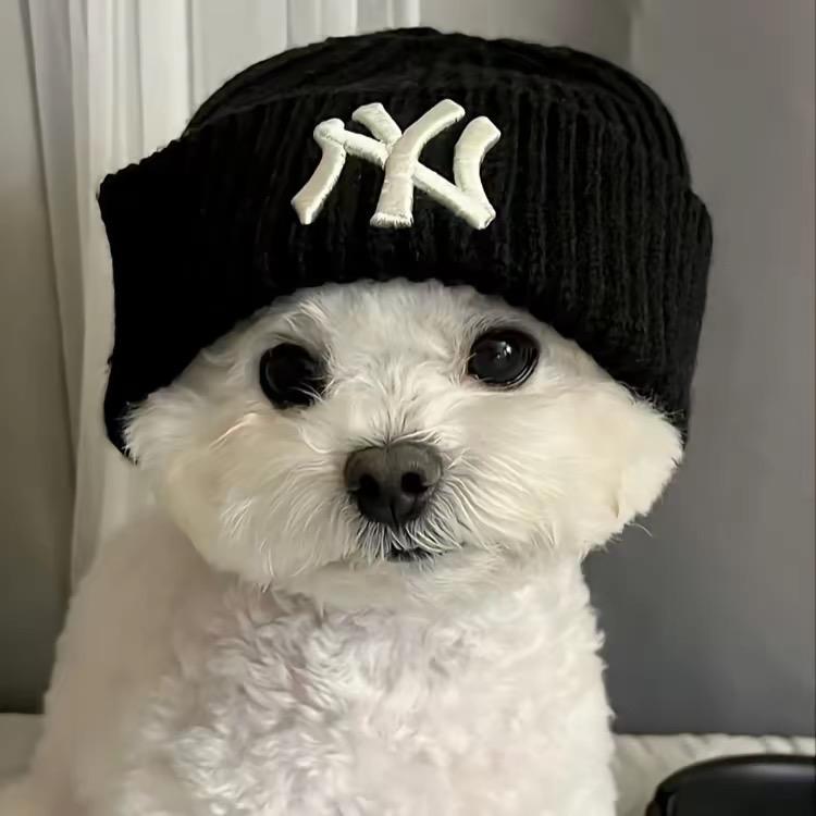 宇宙超级无敌霸王龙战士