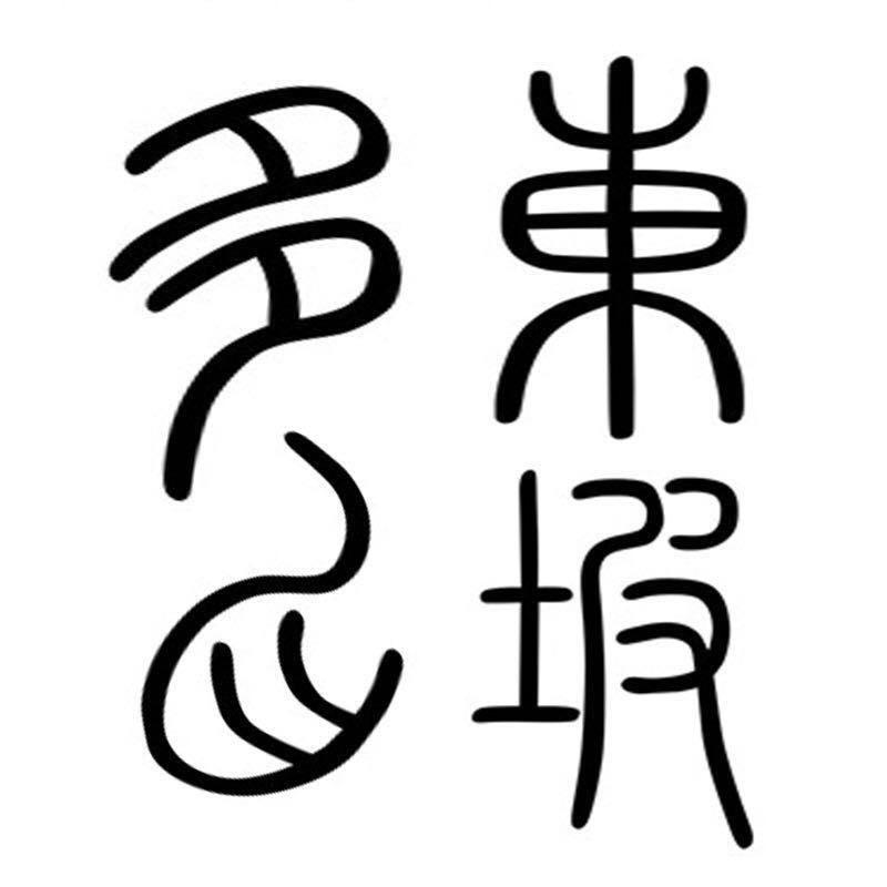 东坡多肉植物