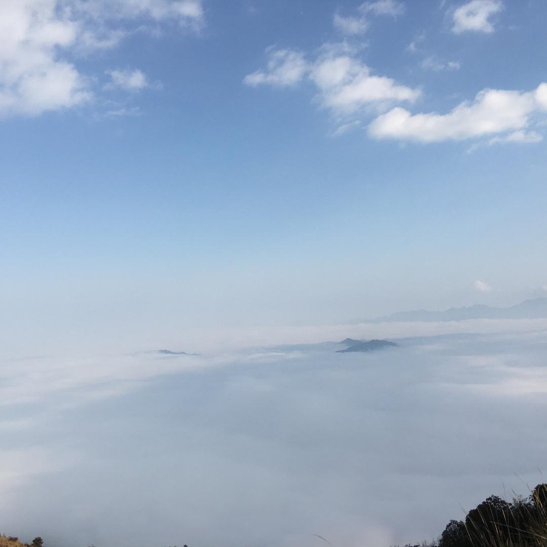 品味