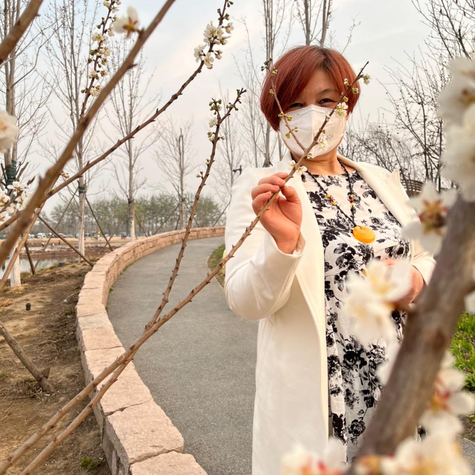 秦彩霞