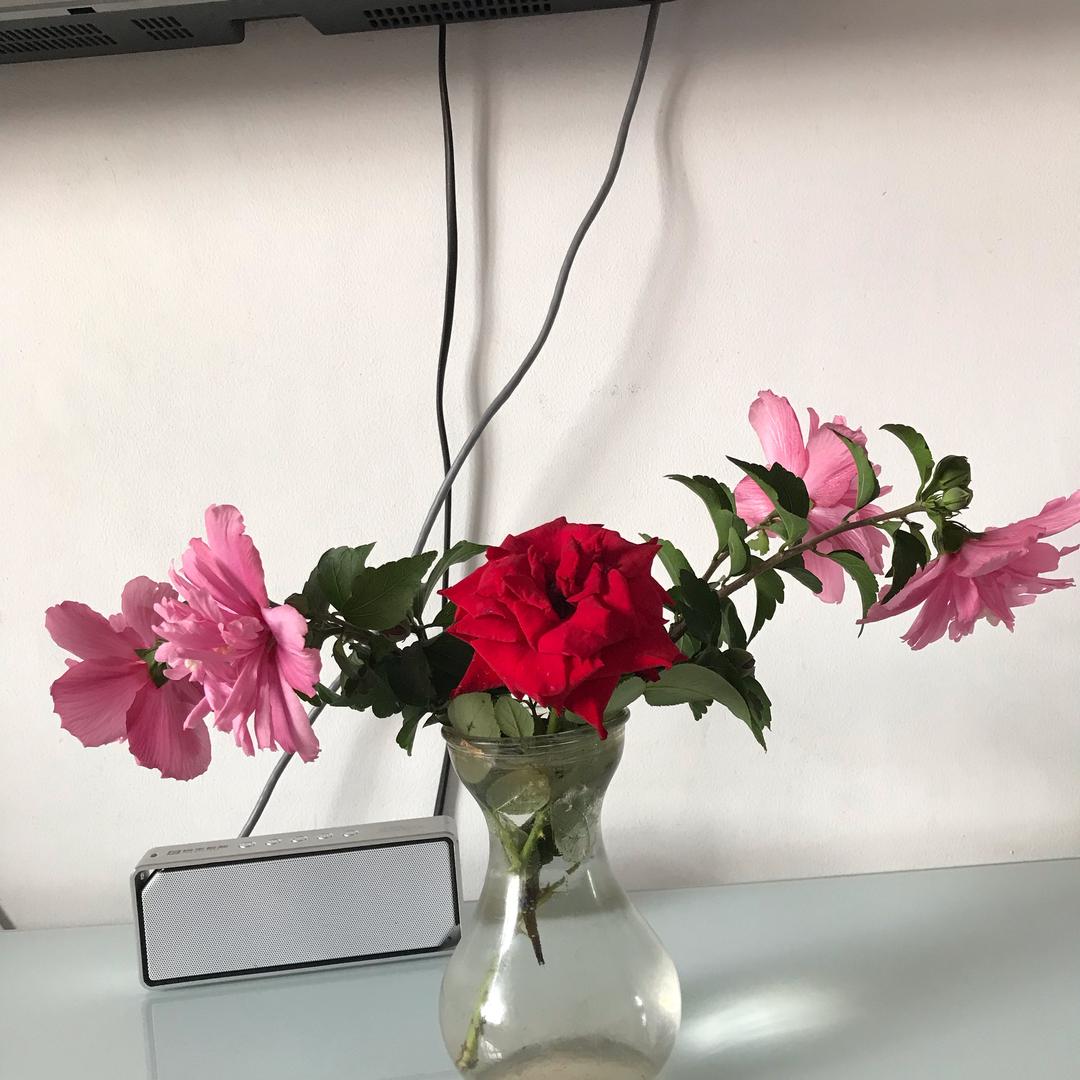 溪水河边