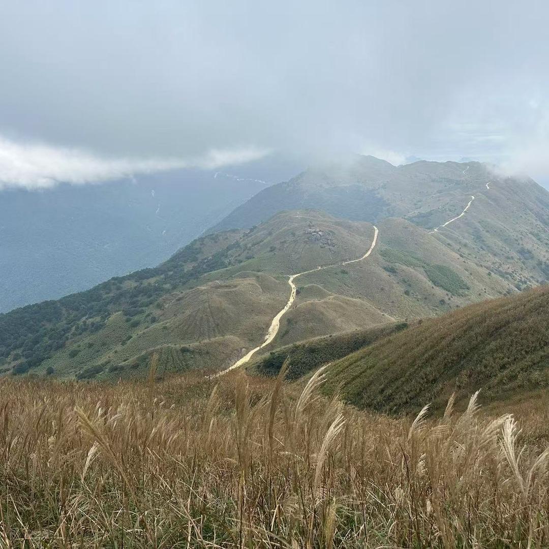 听听老歌（港版）