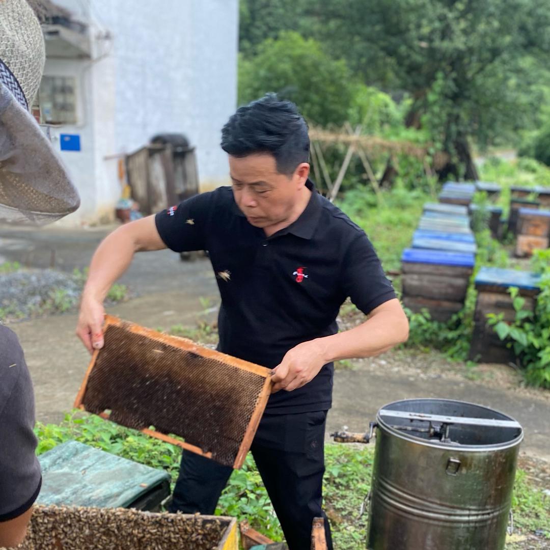 山里养蜂人