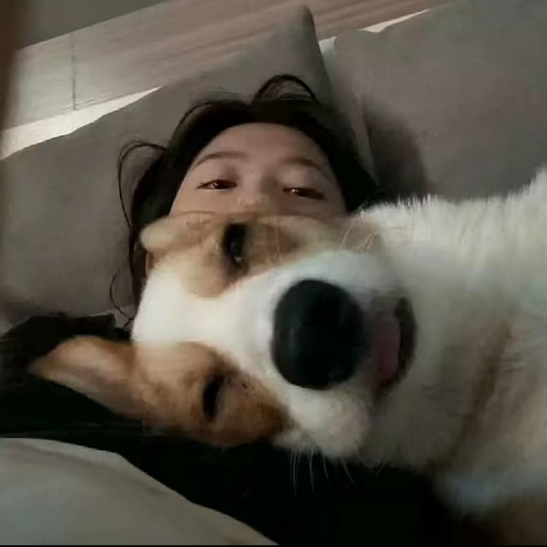 红糖糍粑