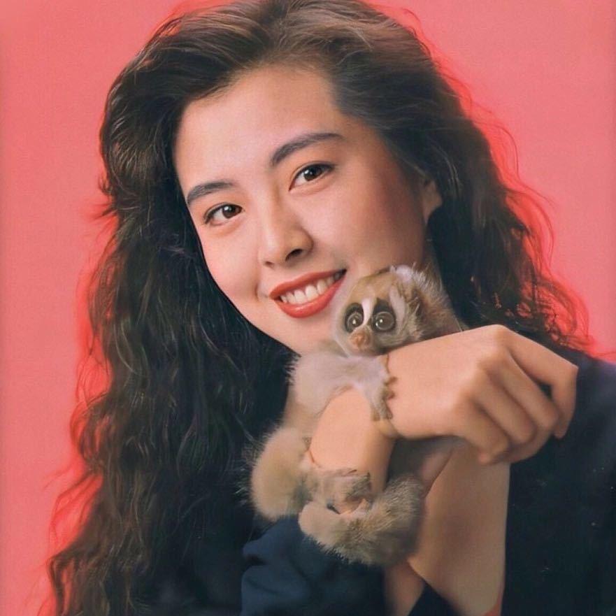 桑代克的猫