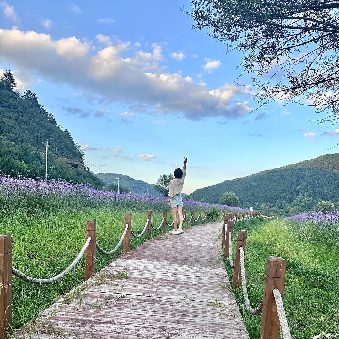 沐冉🌻℘࿐