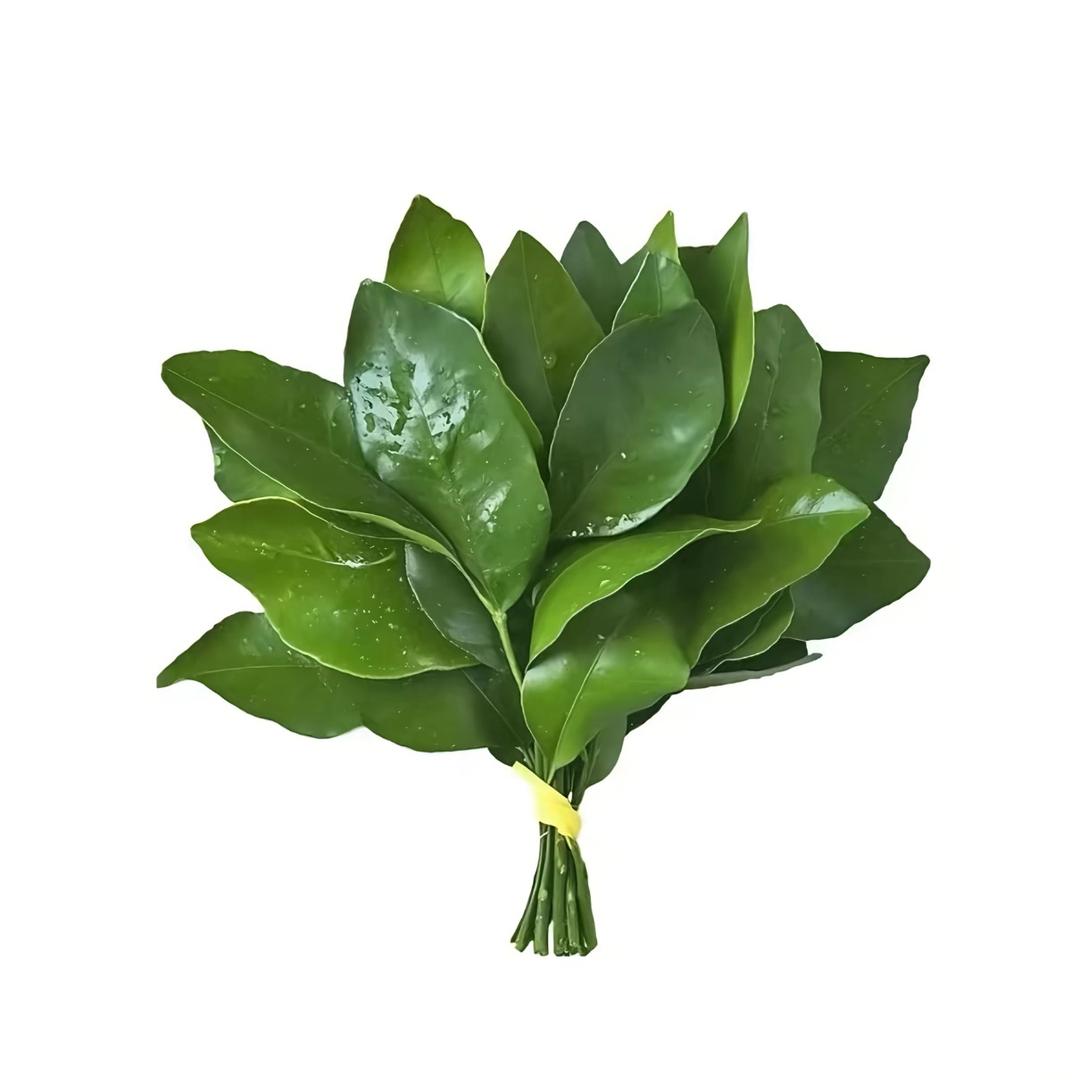 oiio