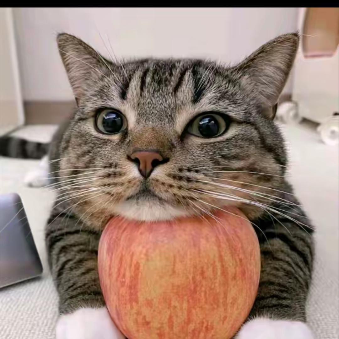 자연계곡나무하늘