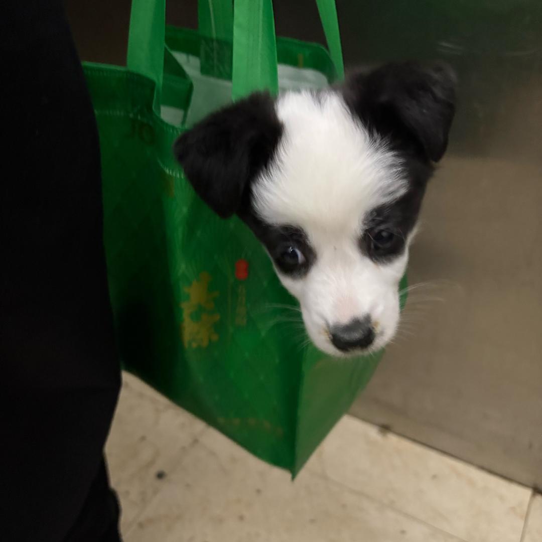 .ʚ皮蛋不是蛋ɞ.