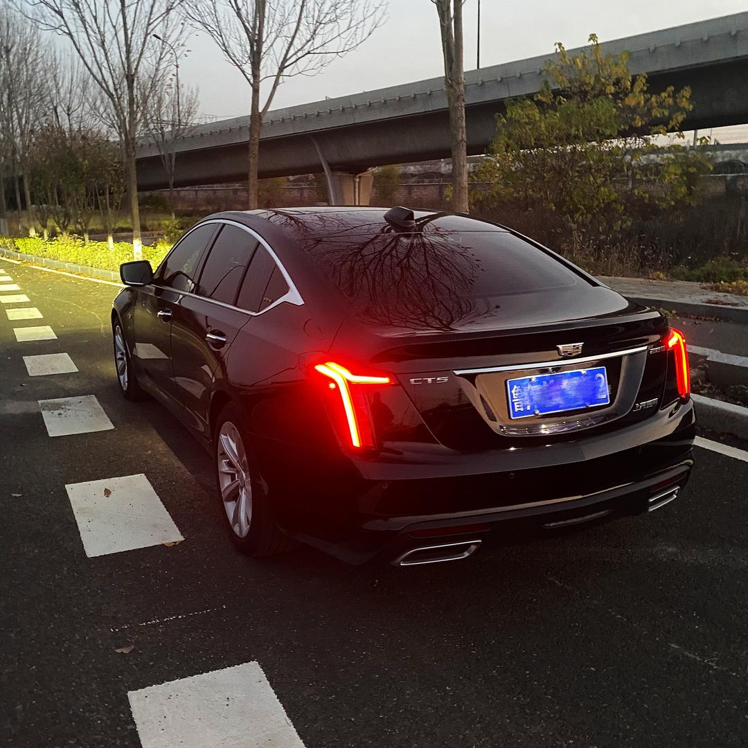 凯迪同学